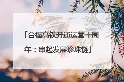 合福高铁开通运营十周年：串起发展珍珠链