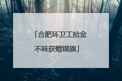 合肥环卫工拾金不昧获赠锦旗