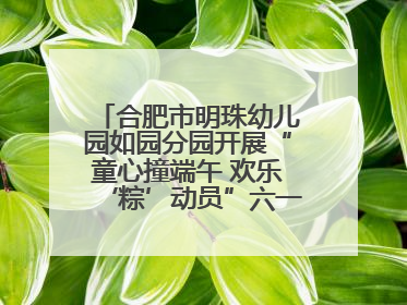 合肥市明珠幼儿园如园分园开展“童心撞端午 欢乐‘粽’动员”六一系列活动