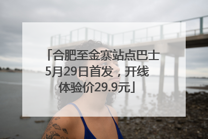 合肥至金寨站点巴士5月29日首发，开线体验价29.9元