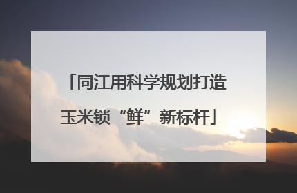 同江用科学规划打造玉米锁“鲜”新标杆