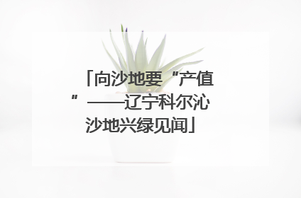 向沙地要“产值”——辽宁科尔沁沙地兴绿见闻