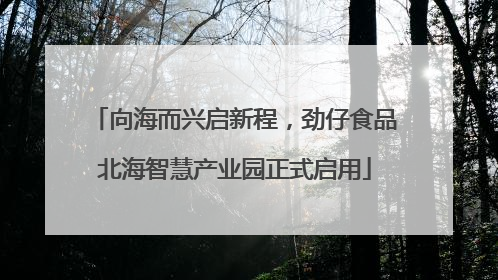 向海而兴启新程，劲仔食品北海智慧产业园正式启用