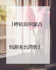 呼伦贝尔蒙古包迎来台湾客