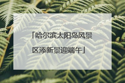 哈尔滨太阳岛风景区添新景迎端午