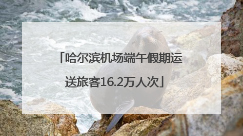 哈尔滨机场端午假期运送旅客16.2万人次