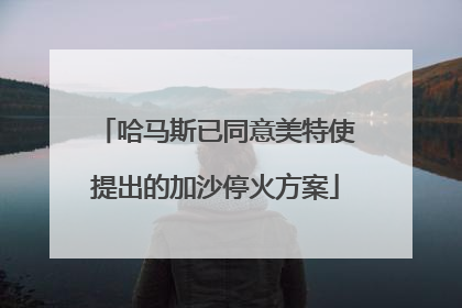 哈马斯已同意美特使提出的加沙停火方案