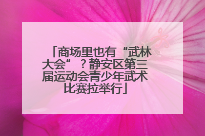 商场里也有“武林大会”？静安区第三届运动会青少年武术比赛拉举行