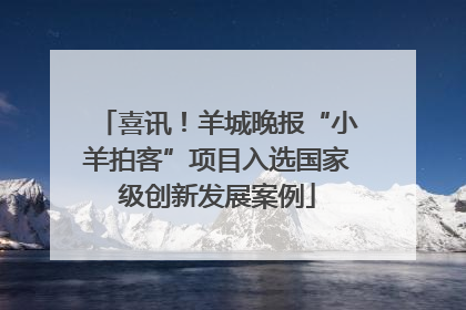 喜讯！羊城晚报“小羊拍客”项目入选国家级创新发展案例