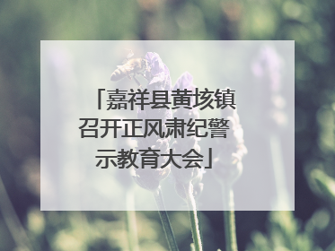 嘉祥县黄垓镇召开正风肃纪警示教育大会