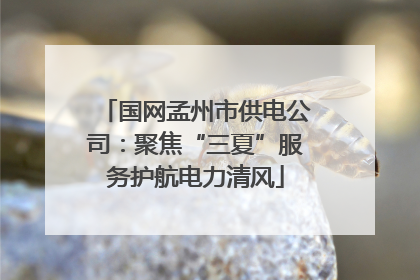 国网孟州市供电公司：聚焦“三夏”服务护航电力清风