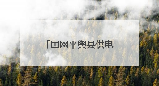 国网平舆县供电公司筑牢电网防汛“安全堤”