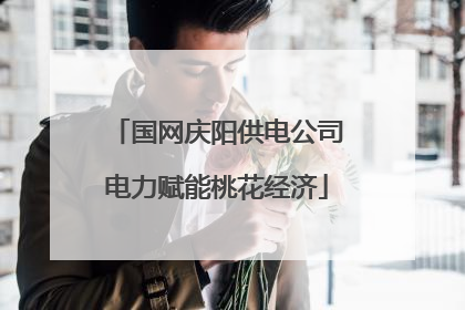 国网庆阳供电公司电力赋能桃花经济