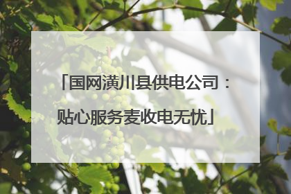 国网潢川县供电公司：贴心服务麦收电无忧