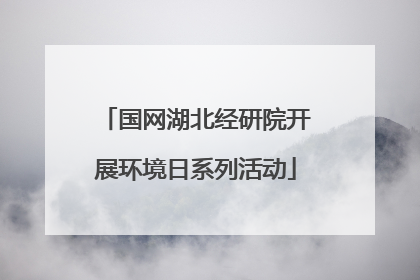 国网湖北经研院开展环境日系列活动
