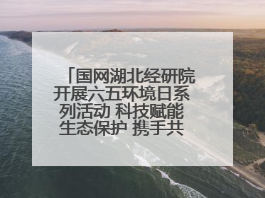 国网湖北经研院开展六五环境日系列活动 科技赋能生态保护 携手共建绿色电网