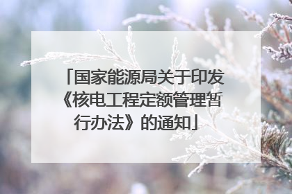 国家能源局关于印发《核电工程定额管理暂行办法》的通知
