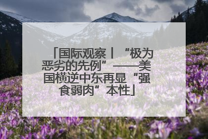 国际观察丨“极为恶劣的先例”——美国横逆中东再显“强食弱肉”本性