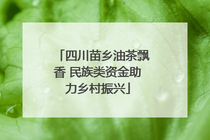 四川苗乡油茶飘香 民族类资金助力乡村振兴
