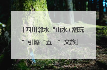 四川邻水“山水+潮玩”引爆“五一”文旅