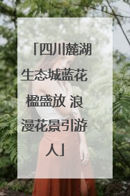 四川麓湖生态城蓝花楹盛放 浪漫花景引游人