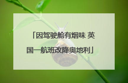 因驾驶舱有烟味 英国一航班改降奥地利