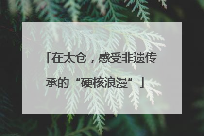 在太仓，感受非遗传承的“硬核浪漫”