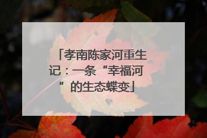 孝南陈家河重生记：一条“幸福河”的生态蝶变