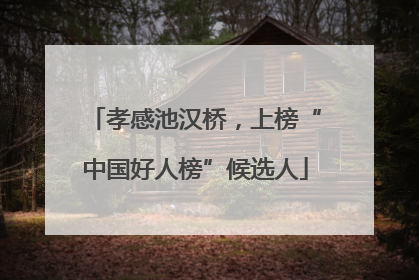 孝感池汉桥，上榜“中国好人榜”候选人