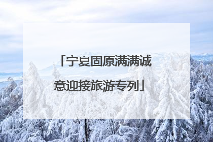 宁夏固原满满诚意迎接旅游专列