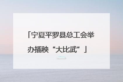 宁夏平罗县总工会举办插秧“大比武”