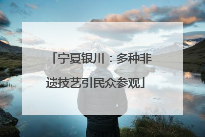 宁夏银川：多种非遗技艺引民众参观
