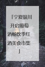 宁夏银川 开启葡萄酒畅饮季红酒美食市集
