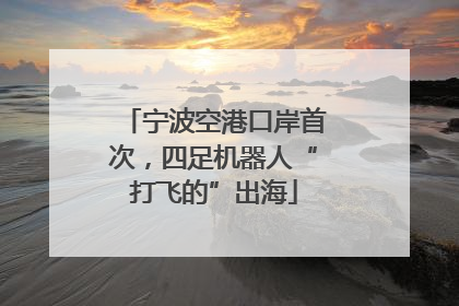 宁波空港口岸首次，四足机器人“打飞的”出海