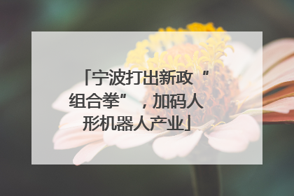 宁波打出新政“组合拳”，加码人形机器人产业