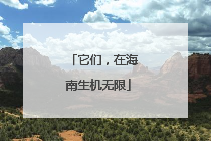 它们，在海南生机无限