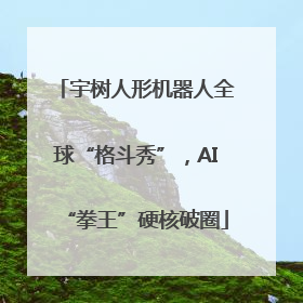 宇树人形机器人全球“格斗秀”，AI“拳王”硬核破圈