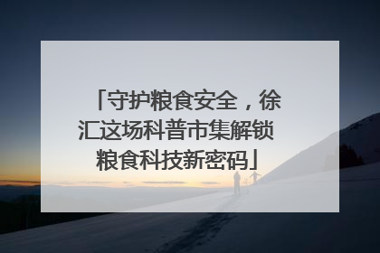 守护粮食安全，徐汇这场科普市集解锁粮食科技新密码