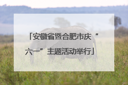 安徽省暨合肥市庆“六一”主题活动举行