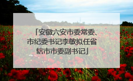 安徽六安市委常委、市纪委书记李敏拟任省辖市市委副书记