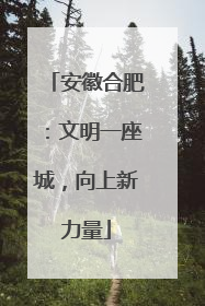 安徽合肥：文明一座城，向上新力量