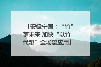 安徽宁国：“竹”梦未来 加快“以竹代塑”全场景应用