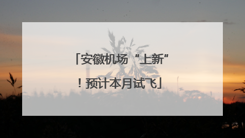 安徽机场“上新”！预计本月试飞