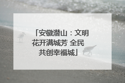 安徽潜山：文明花开满城芳 全民共创幸福城