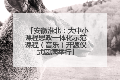 安徽淮北：大中小课程思政一体化示范课程（音乐）开题仪式圆满举行