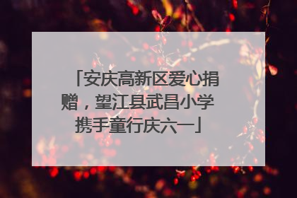 安庆高新区爱心捐赠，望江县武昌小学携手童行庆六一