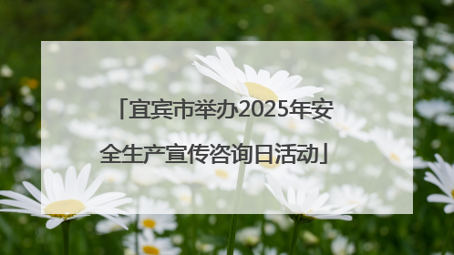 宜宾市举办2025年安全生产宣传咨询日活动