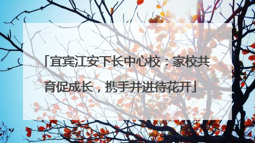 宜宾江安下长中心校：家校共育促成长，携手并进待花开