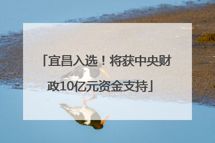宜昌入选！将获中央财政10亿元资金支持