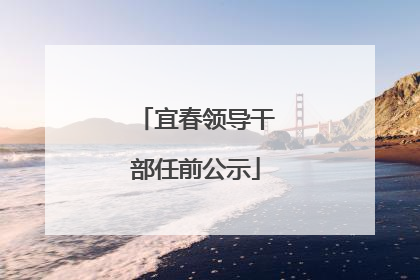 宜春领导干部任前公示